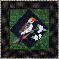 Northern Flicker