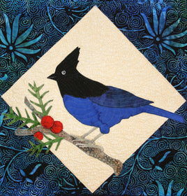 Blue Stellar Jay