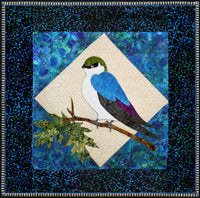 Violet Green Swallow