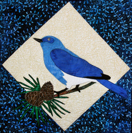 Mountain Bluebird
