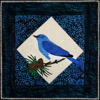 Mountain Bluebird