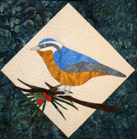 Redbreast Nuthatch