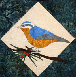 Redbreast Nuthatch