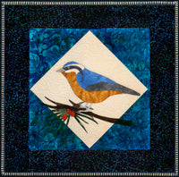 Redbreast Nuthatch