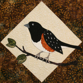 Spotted Towhee