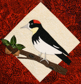 Acorn Woodpecker