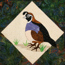 Quail