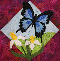 Blue Mountain Swallowtail