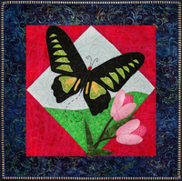Rajah Brooke's Birdwing