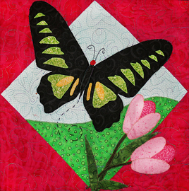Rajah Brooke's Birdwing
