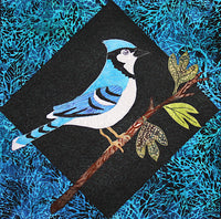 Bluejay