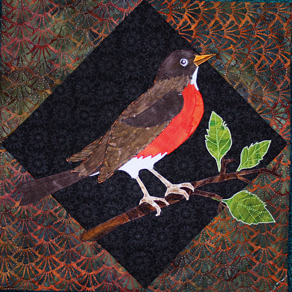 Robin| Zebra Patterns
