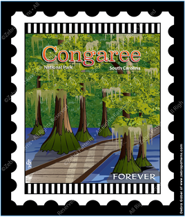 Congaree South Carolina