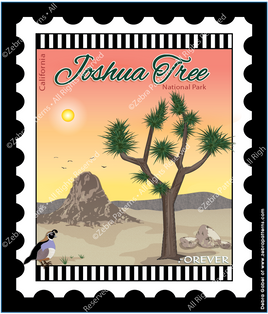 Joshua Tree California