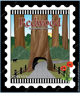 Redwood California