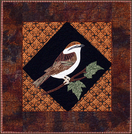 Sparrow Laser Cut Kit