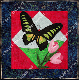 Rajah Brooke's Birdwing