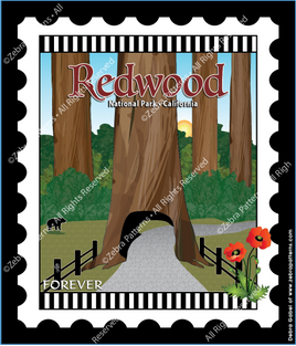 Redwood California