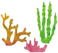 Coral Sealife Pre-Fused Laser Kit