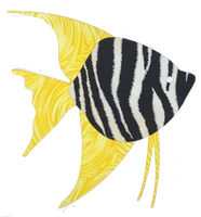 Angelfish Sealife Pre-Fused Laser Kit