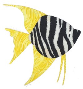 Angelfish Sealife Pre-Fused Laser Kit