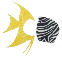 Angelfish Sealife Pre-Fused Laser Kit