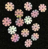 Tiny Tim's Toys Applique