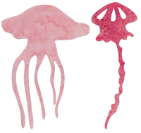 Jellyfish Sealife Pre-Fused Laser Kit